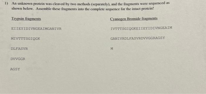 Solved 17 The Following Two Protein Fragments Single Chegg Com