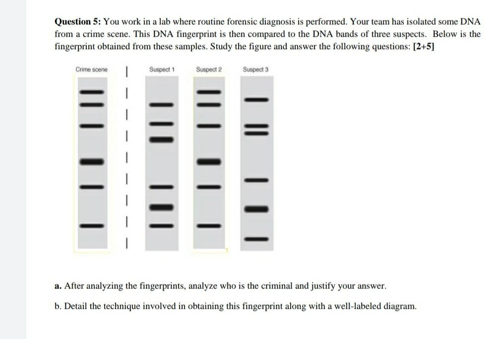 Solved Question 5: You work in a lab where routine forensic | Chegg.com