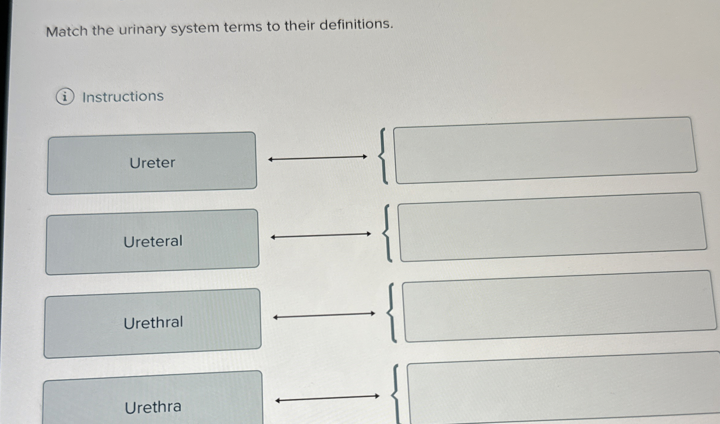 Solved Match the urinary system terms to their definitions. | Chegg.com