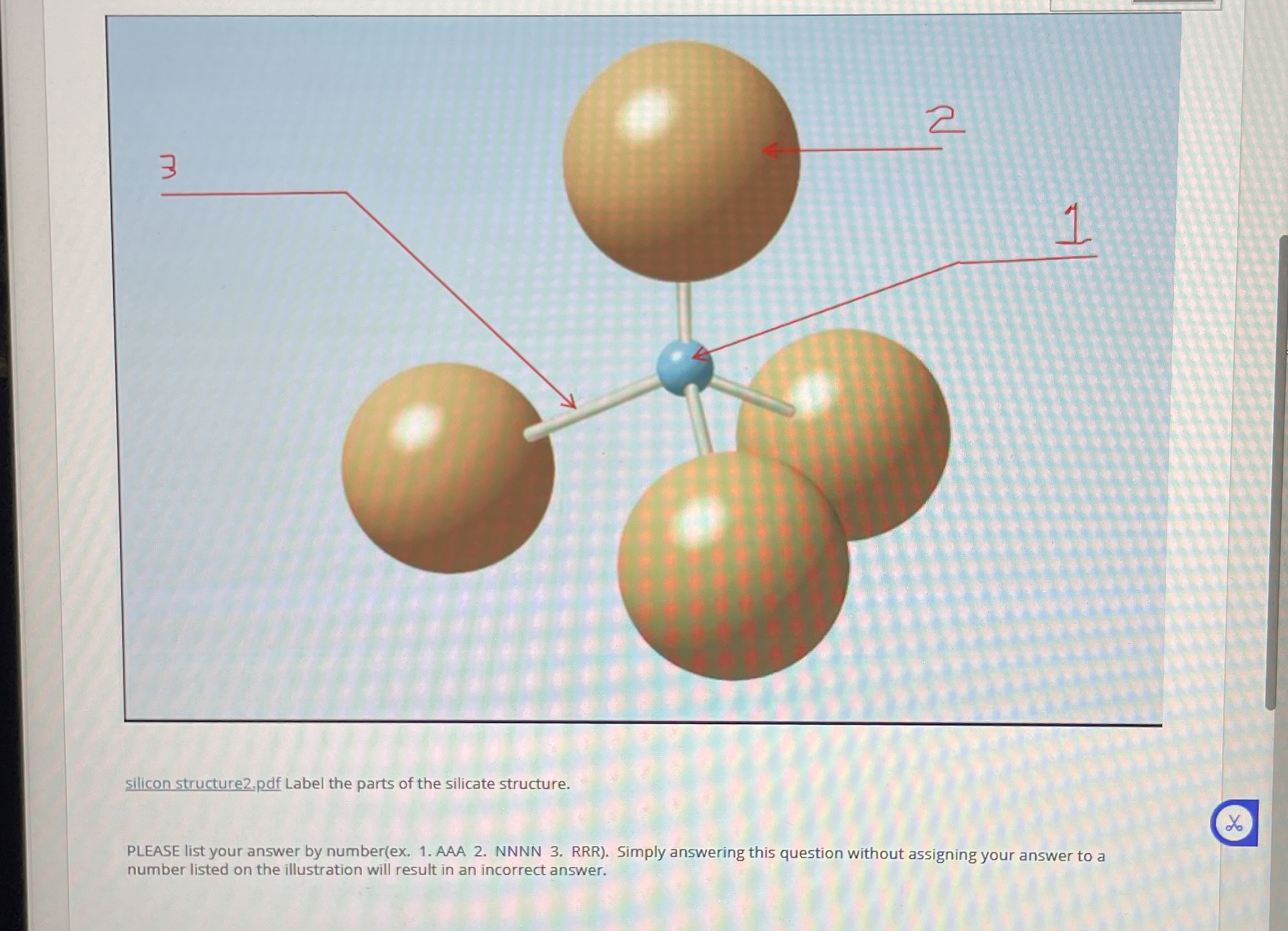Solved silicon structure2.pdf Label the parts of the | Chegg.com