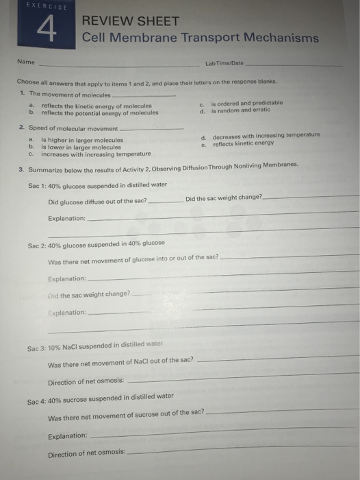 Solved Exercise Review Sheet Cell Membrane Transport Chegg Com