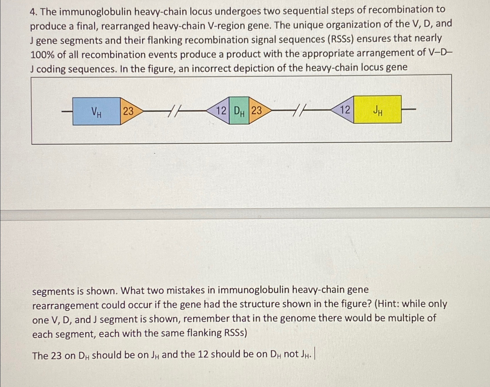 Solved The immunoglobulin heavy-chain locus undergoes two | Chegg.com
