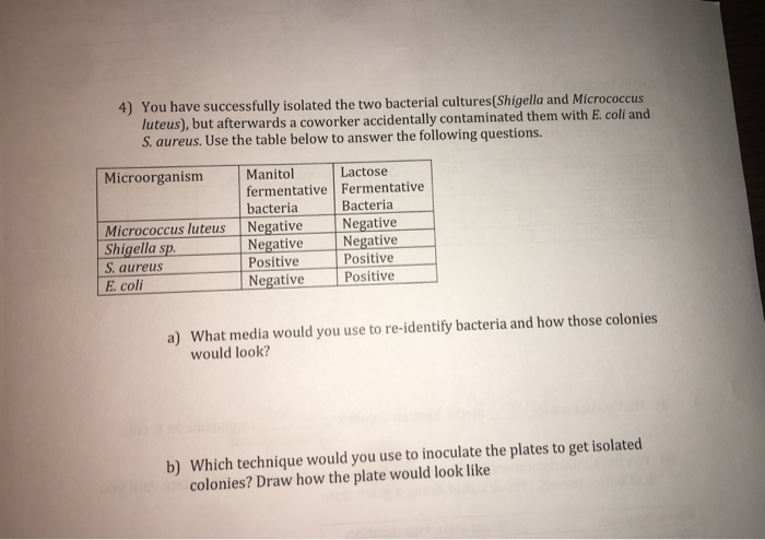 Solved 4) You have successfully isolated the two bacterial | Chegg.com