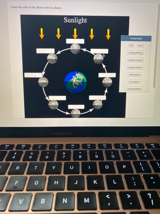 Solved Label The Orbit Of The Moon With Its Phases Sunlight Chegg