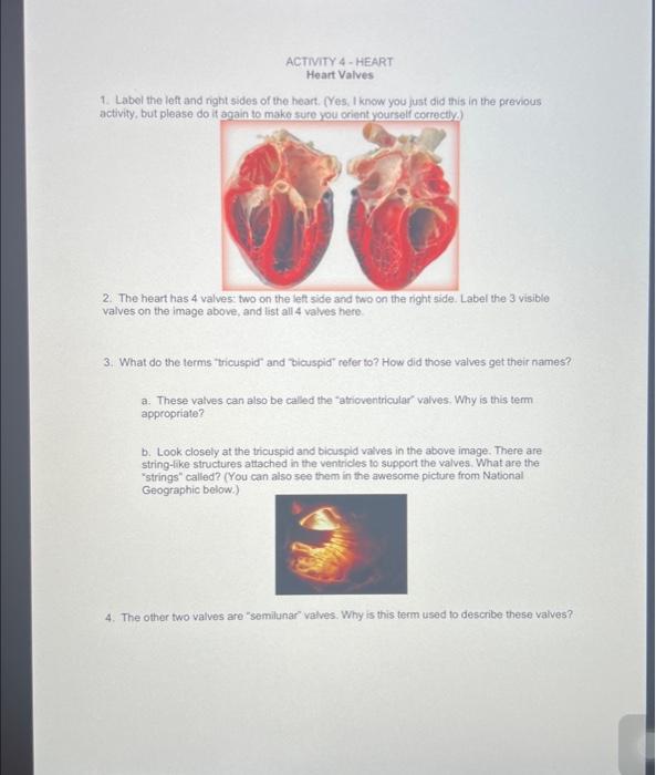 Solved 1. Label the left and right sides of the heart. How | Chegg.com