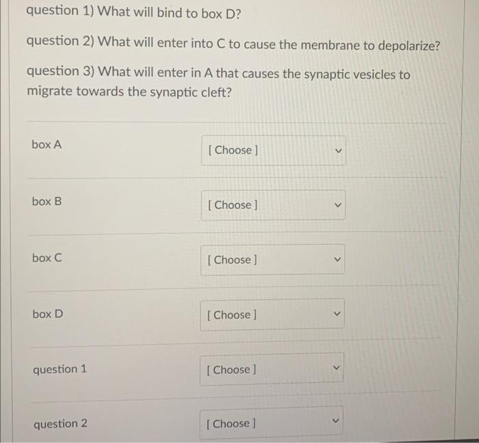 Solved Identify The Structures Below. And Then Answer The | Chegg.com