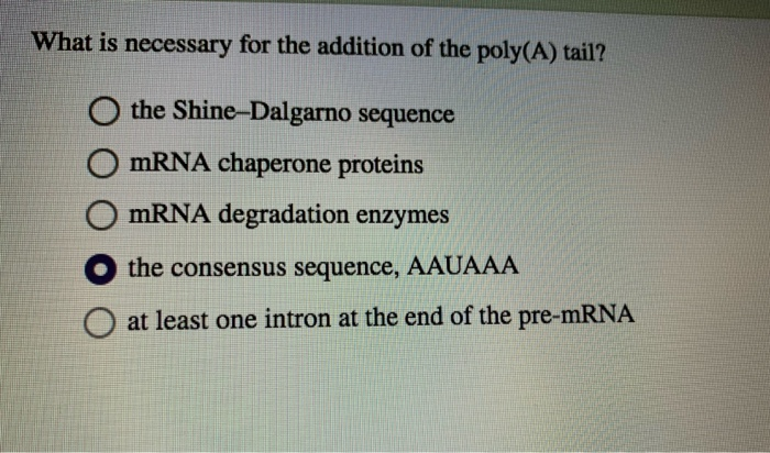 Solved What Is Necessary For The Addition Of The Poly A Chegg Com