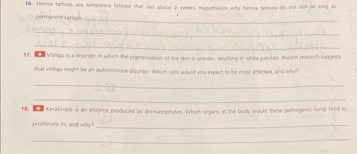 Solved 16. Henna tattoos are temporary tattoos that last | Chegg.com