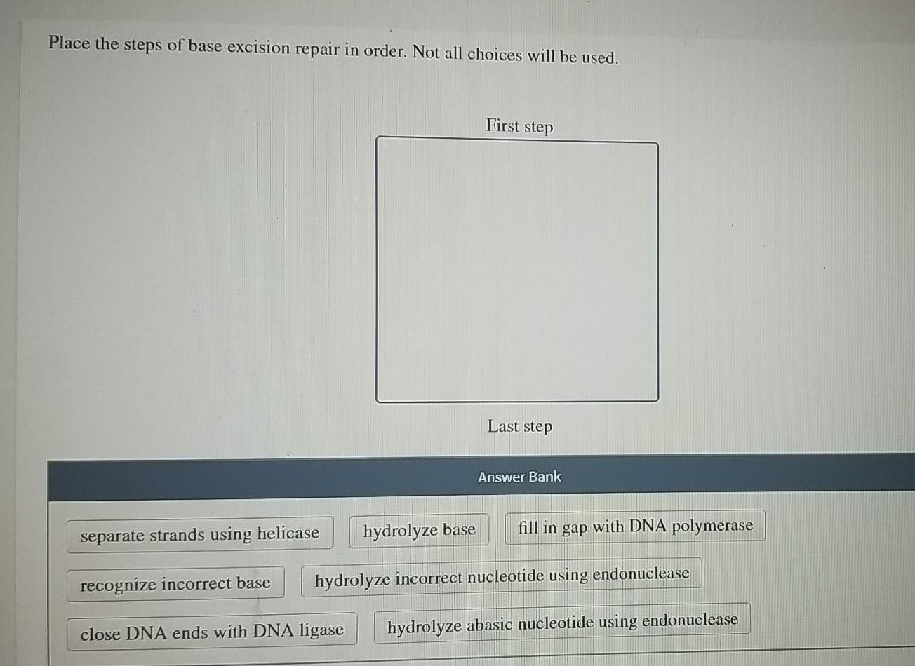 Solved Place the steps of nucleotide excision repair in | Chegg.com