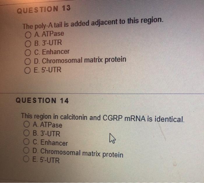 Solved QUESTION 13 The poly-A tail is added adjacent to this | Chegg.com