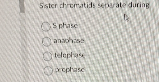 Solved Sister chromatids separate duringS Biology Diagrams