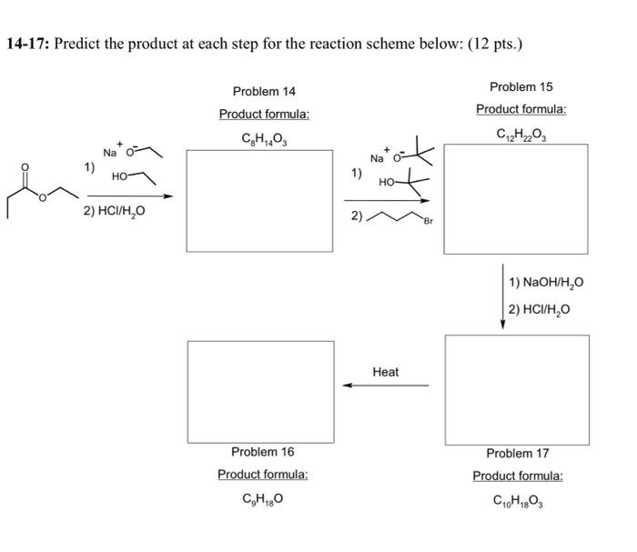 Solved Predict the product at each step for the reaction | Chegg.com