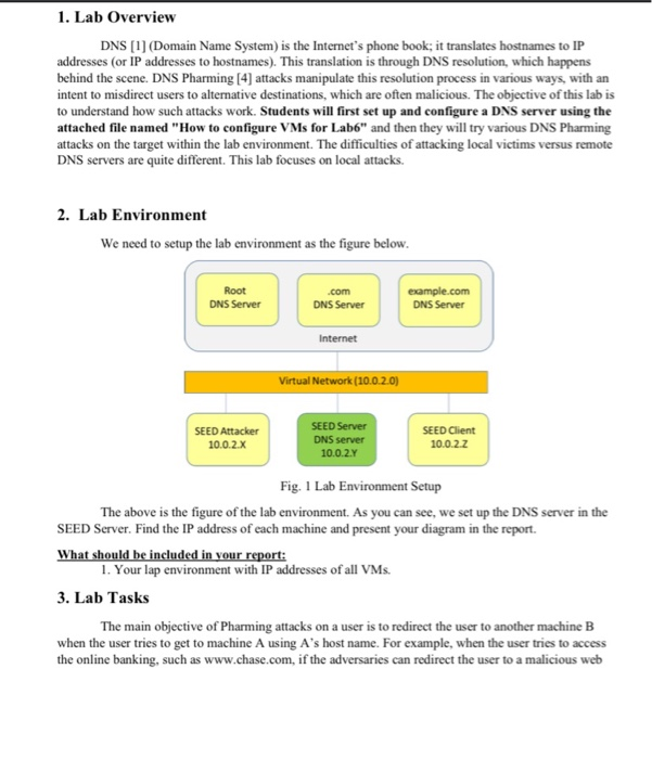 1 Lab Overview Dns 1 Domain Name System Is Th Chegg Com