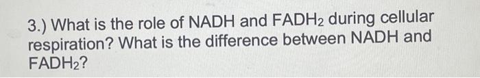 Solved 3 What Is The Role Of Nadh And Fadh2 During