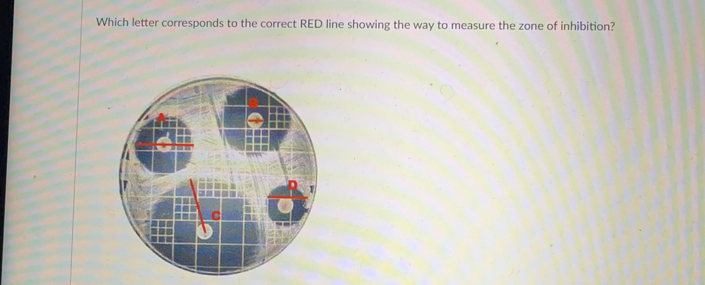 Solved Which letter corresponds to the correct RED line | Chegg.com