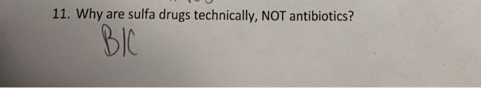 solved-11-why-are-sulfa-drugs-technically-not-antibiotics-chegg