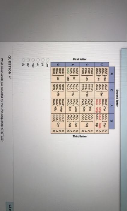 Solved In eukaryotes an mRNA molecule is usually edited Chegg com