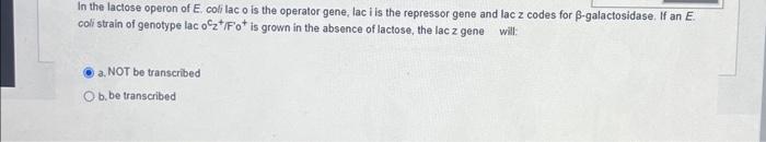 Solved In the lactose operon of E. coli lac o is the | Chegg.com