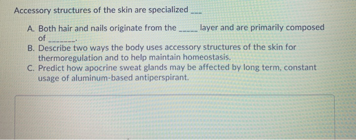 Solved Accessory structures of the skin are specialized A. 