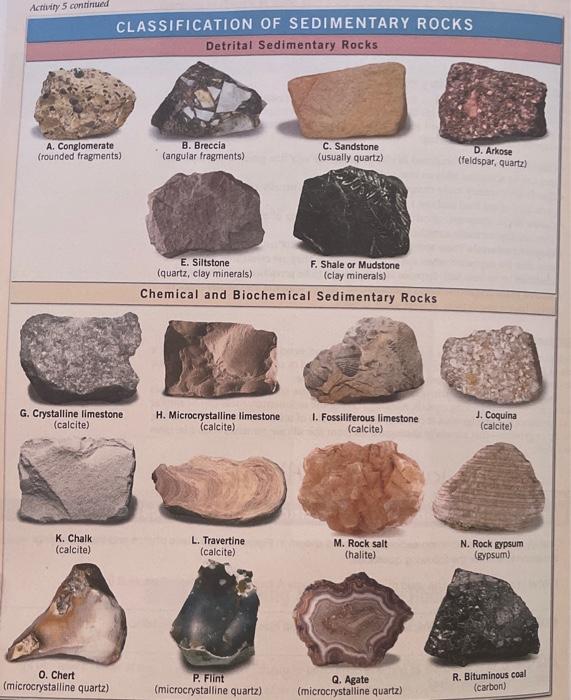 Solved Examining Sedimentary Compositions and Textures | Chegg.com