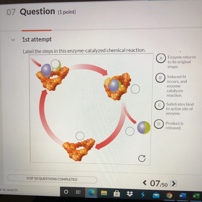Solved 07 Question (1 point) 1st attempt Label the steps in