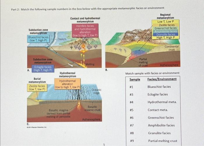 Solved Physical Geology Assignment 4s Metamorphic Rocks Part | Chegg.com