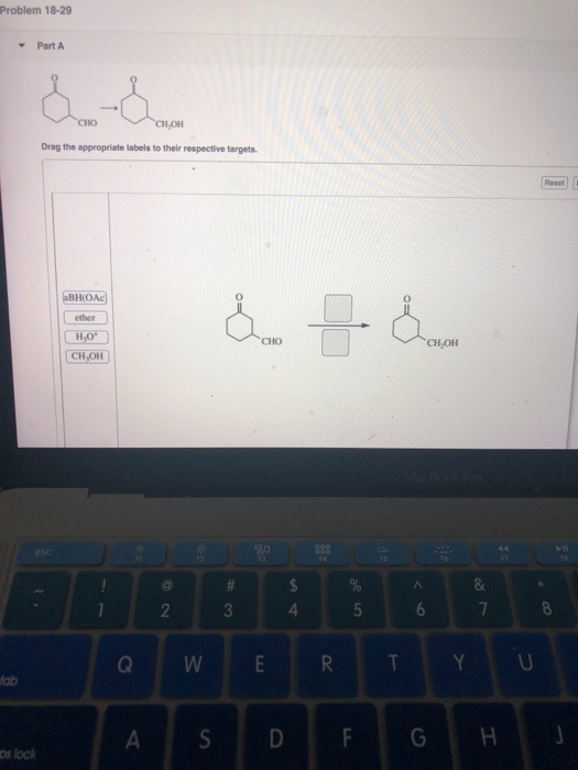 Solved Please make answers easy and simple for me to plug | Chegg.com
