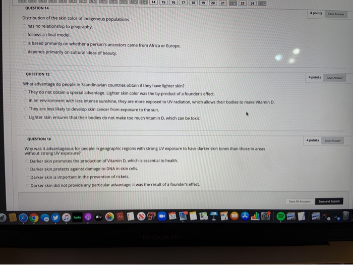 Solved 14 15 17 QUESTION 14 4 points Distribution of the | Chegg.com
