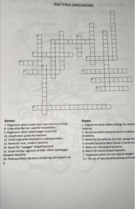 Solved BACTERIA CROSSWORD 3 BACTERIA CROSSWORD Chegg com