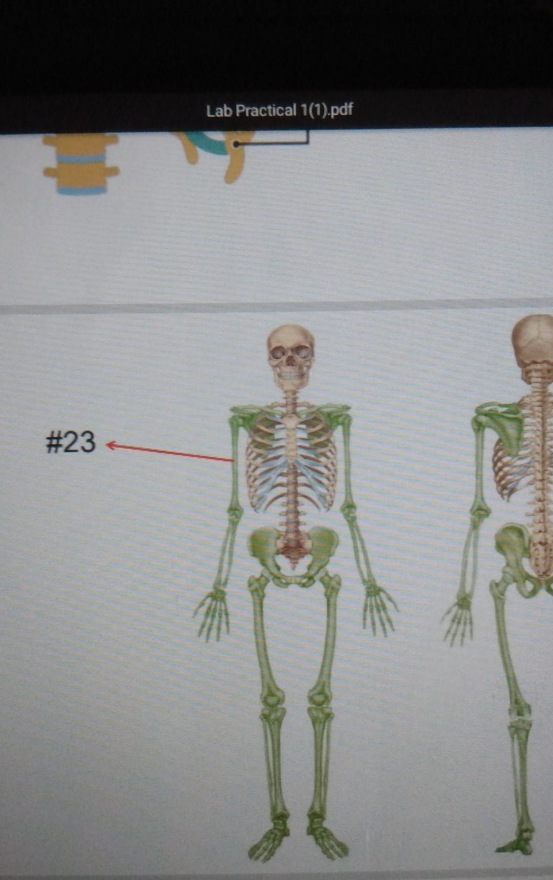 Solved Lab Practical 1(1).pdf #22 *Name the 