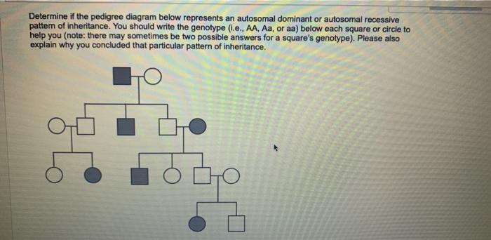 Solved Determine if the pedigree diagram below represents an | Chegg.com