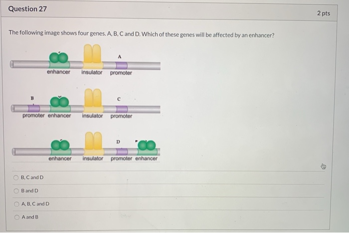 Solved Question 27 2 Pts The Following Image Shows Four | Chegg.com