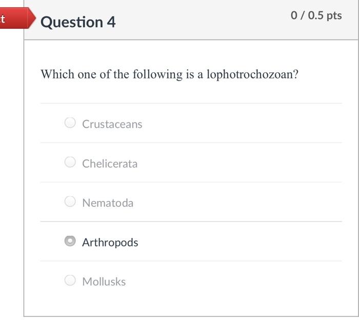 Solved 0 / 0.5 Pts T Question 4 Which One Of The Following | Chegg.com