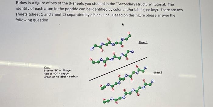 Solved Below Is A Figure Of Two Of The B-sheets You Studied | Chegg.com