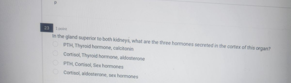 Solved p1 ﻿pointIn the gland superior to both kidneys, what | Chegg.com