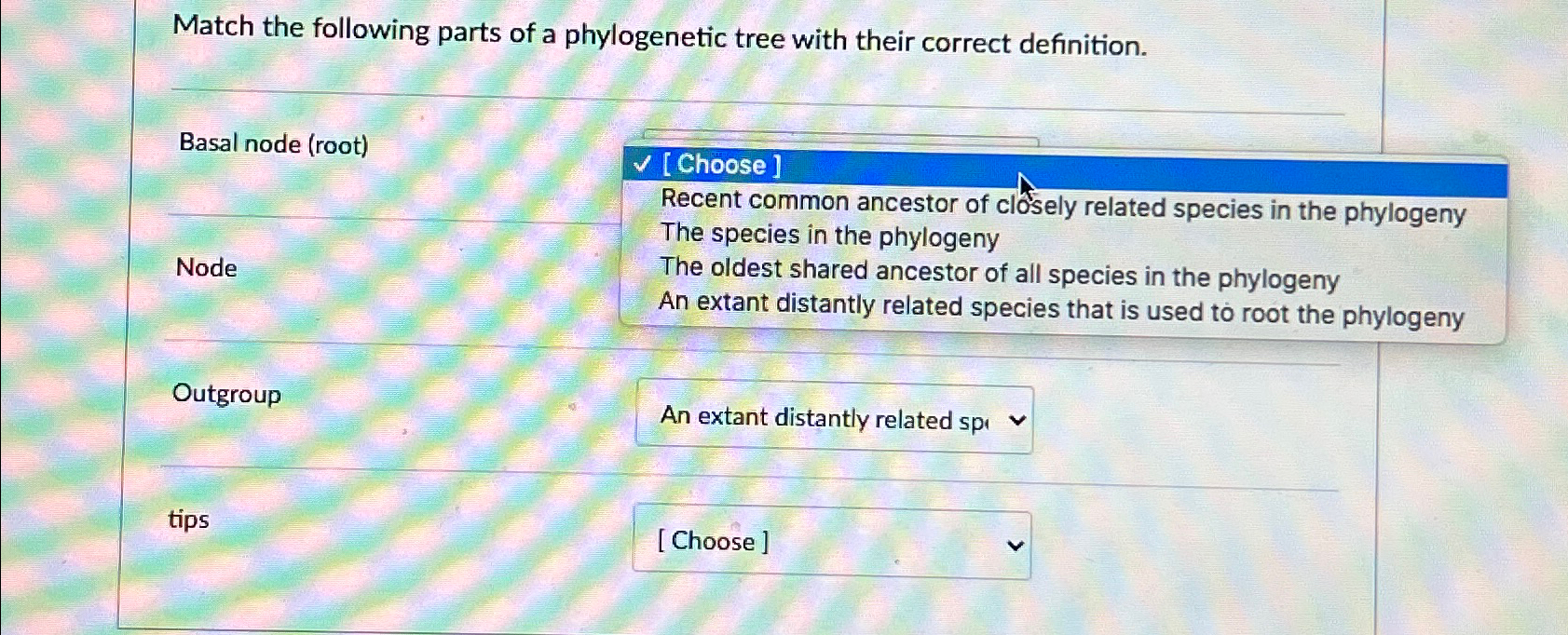 Solved Match the following parts of a phylogenetic tree with | Chegg.com