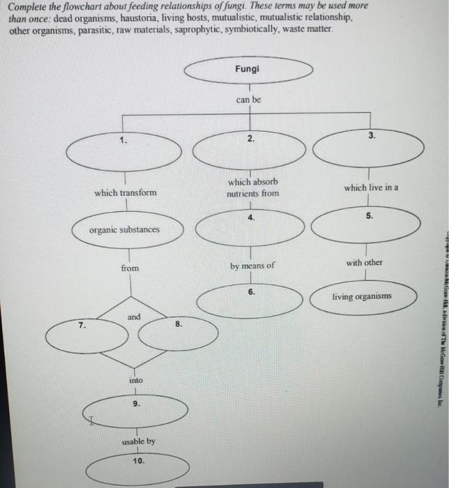 Plete The Flowchart About Feeding Relationships Of Chegg 