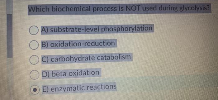 Which biochemical process is NOT used during glycolysis? A) substrate-level phosphorylation B) oxidation-reduction C) carbohy