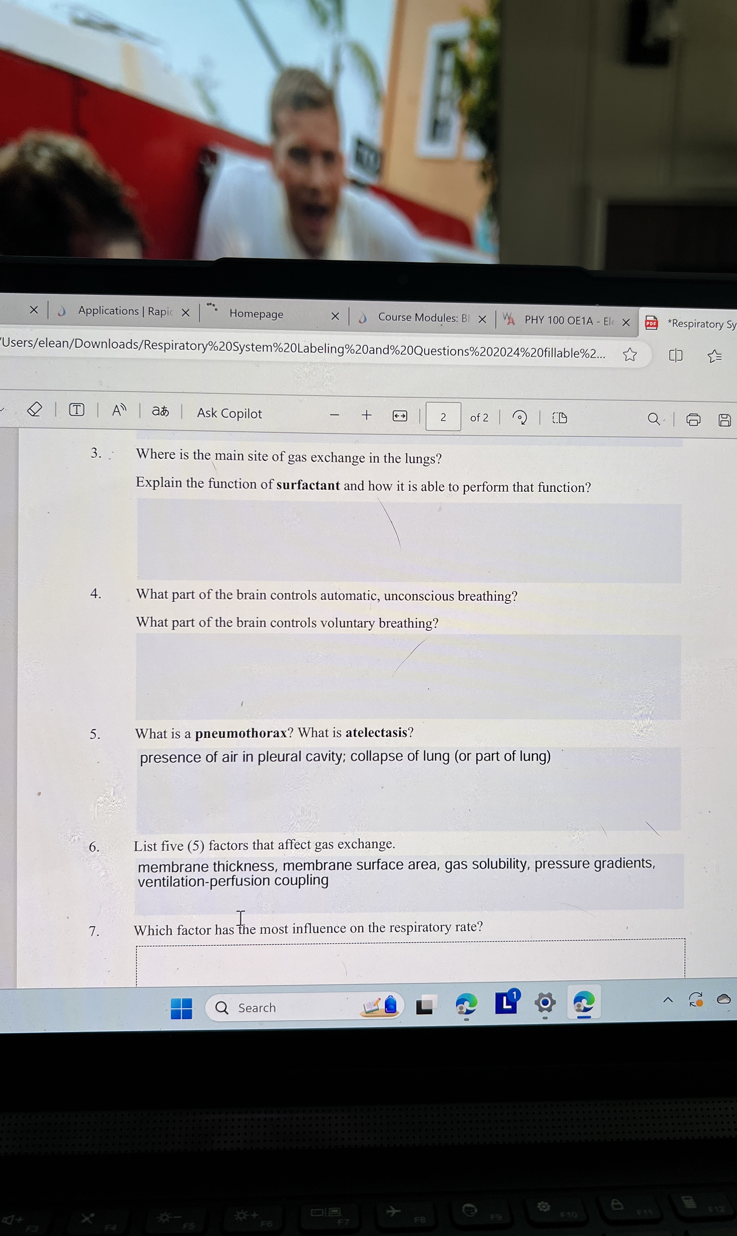 Solved Where is the main site of gas exchange in the