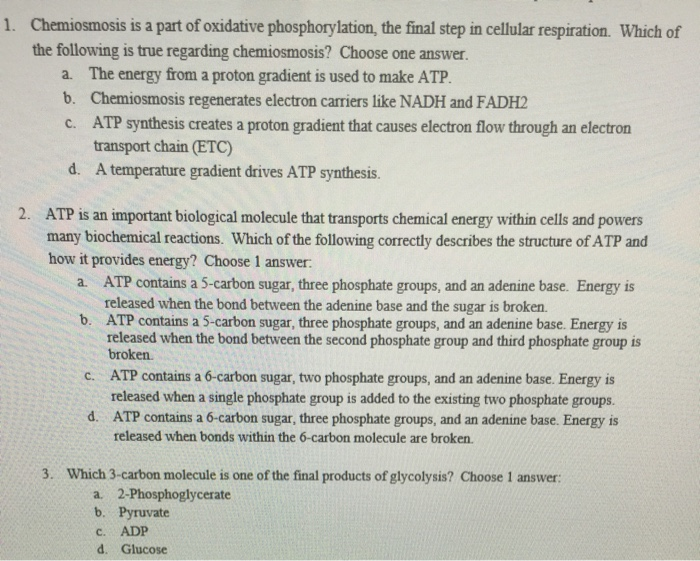 Solved 1. Chemiosmosis is a part of oxidative | Chegg.com