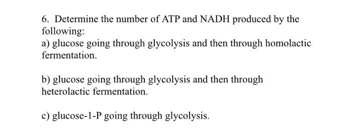 Solved 6. Determine the number of ATP and NADH produced by | Chegg.com