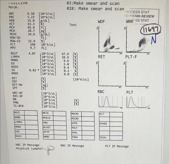 Patient 11697 No manual diff performed, only slide