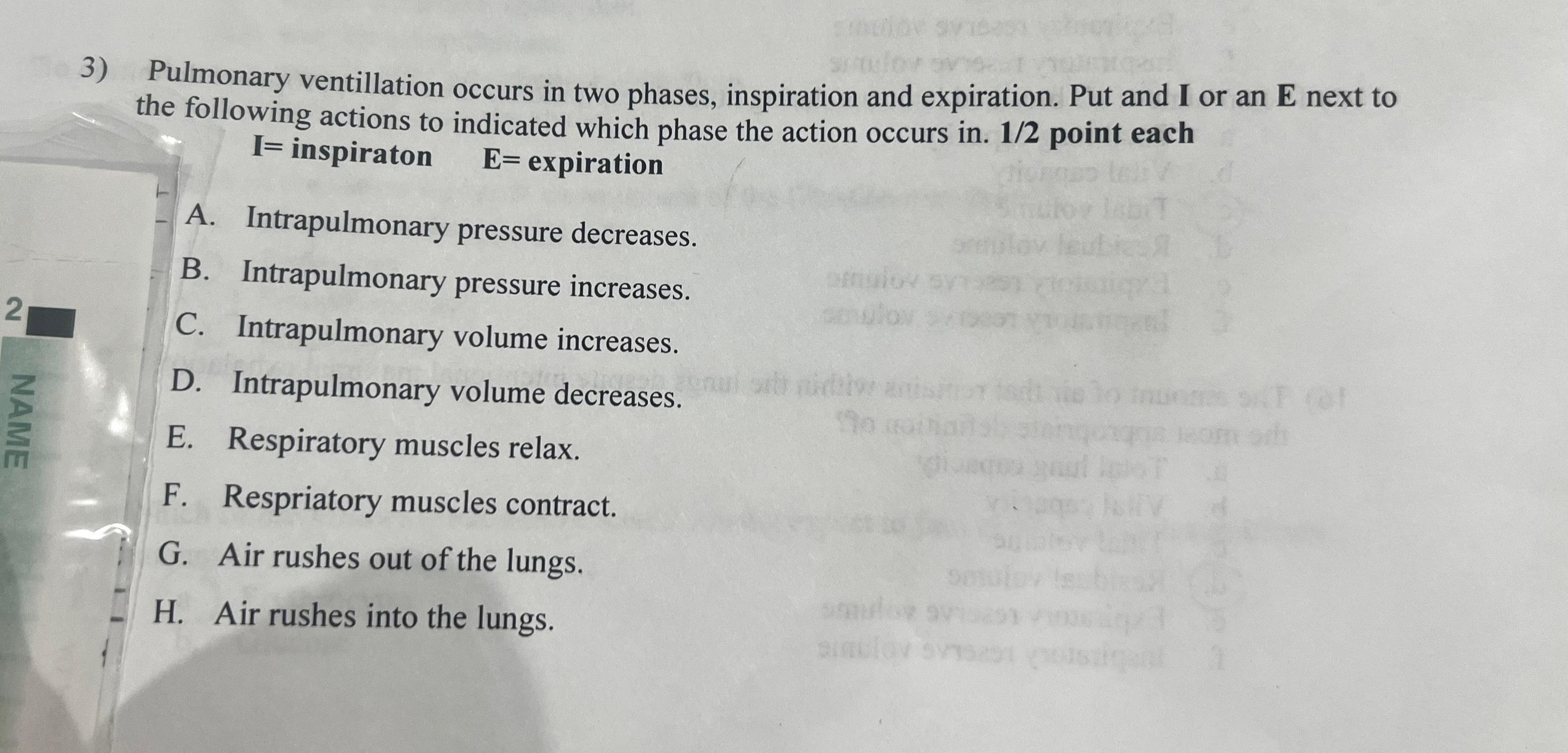 Solved Pulmonary ventillation occurs in two phases, | Chegg.com