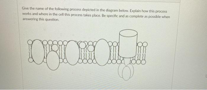 Solved Give the name of the following process depicted in | Chegg.com