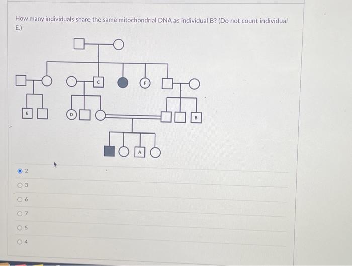 Solved How many individuals share the same mitochondrial DNA | Chegg.com