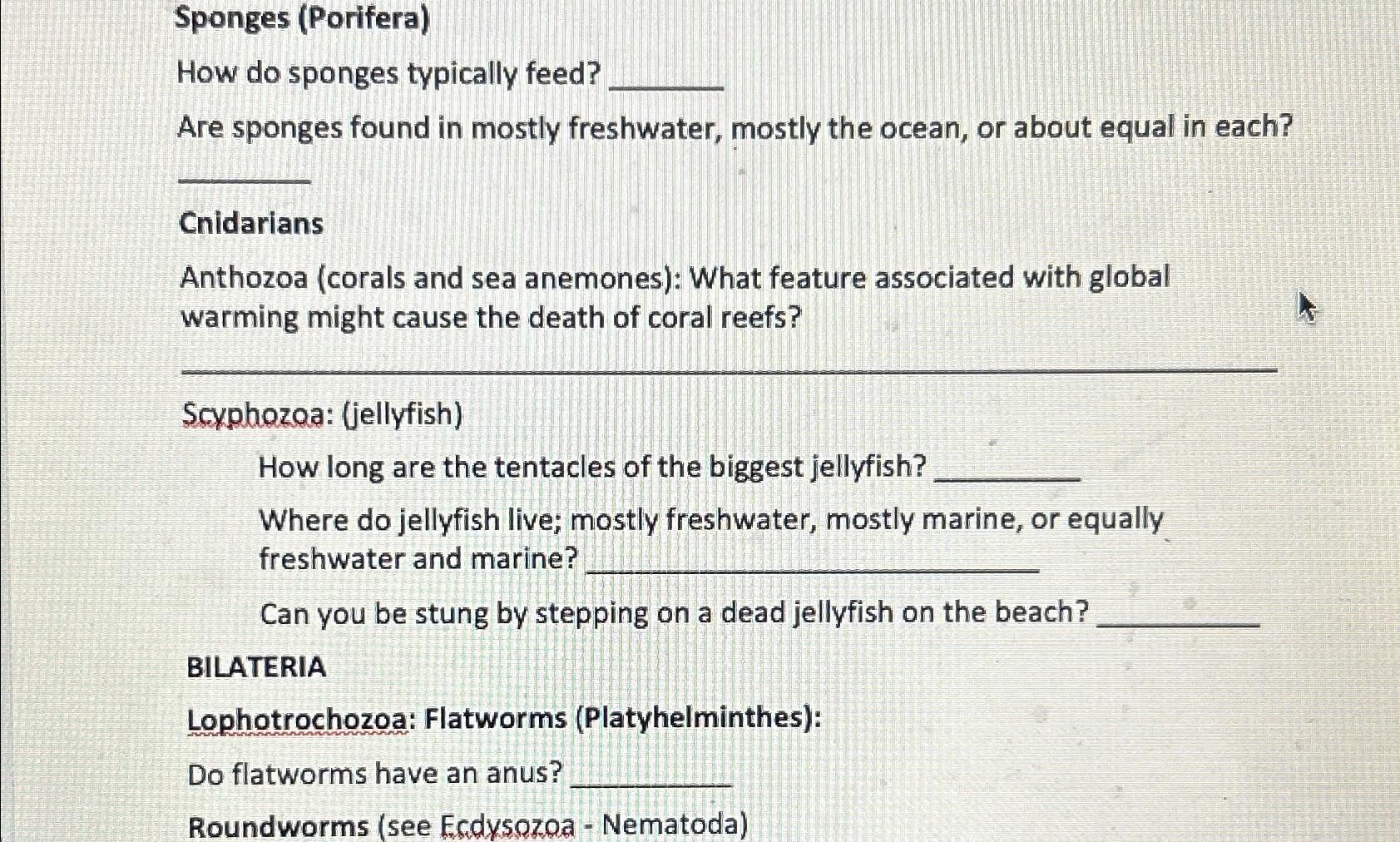 Sponges (Porifera)How do sponges typically feed?Are