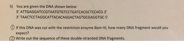 Solved 5) You are given the DNA shown below: 5' | Chegg.com