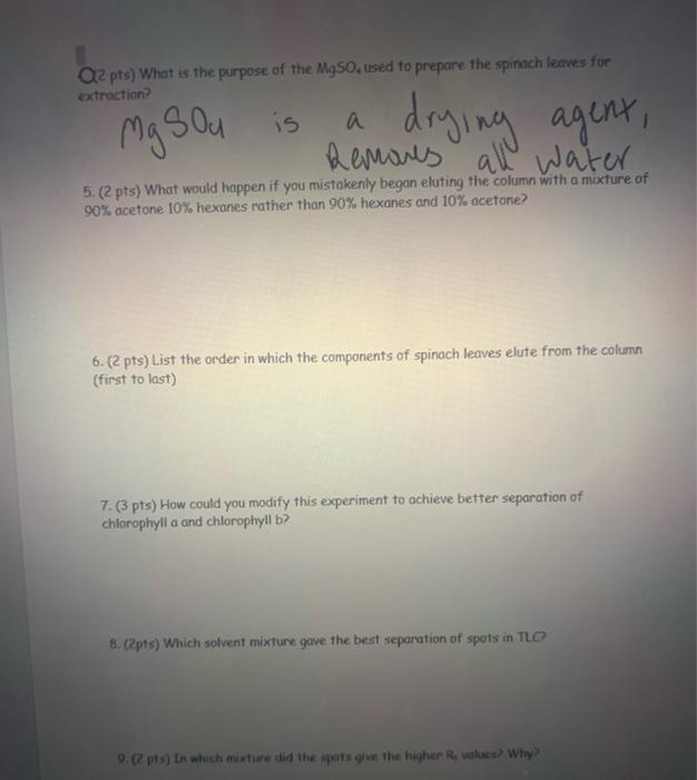 Solved Spinach Chromatography The objective of the lab was
