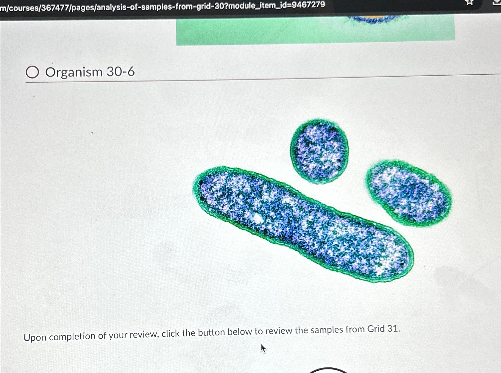 Solved is this prokaryotic or eukaryotic | Chegg.com