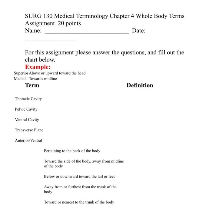 Chapter 4 medical terminology answers